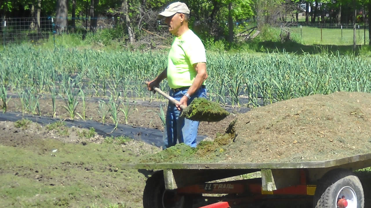 farmer shovelling