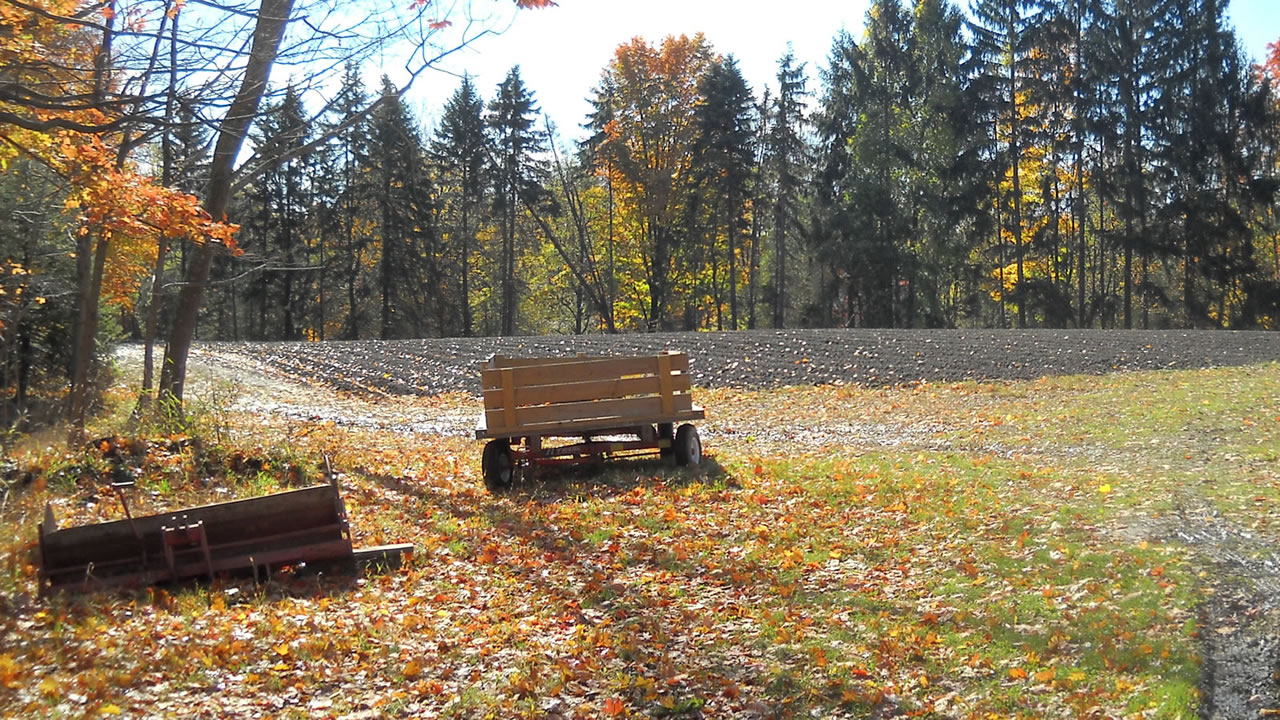 fall view of the fields