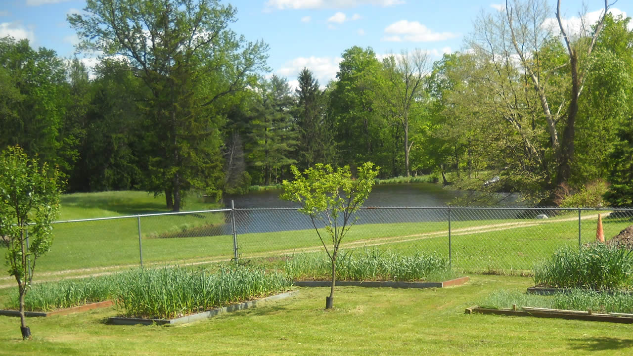 garden boxes