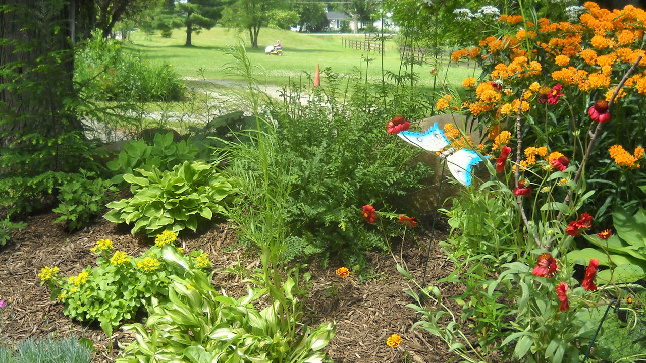 flower garden