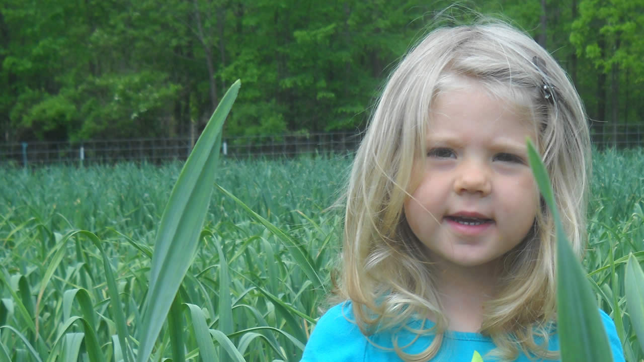 child in the field