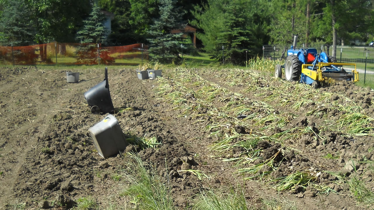 harvest in progress