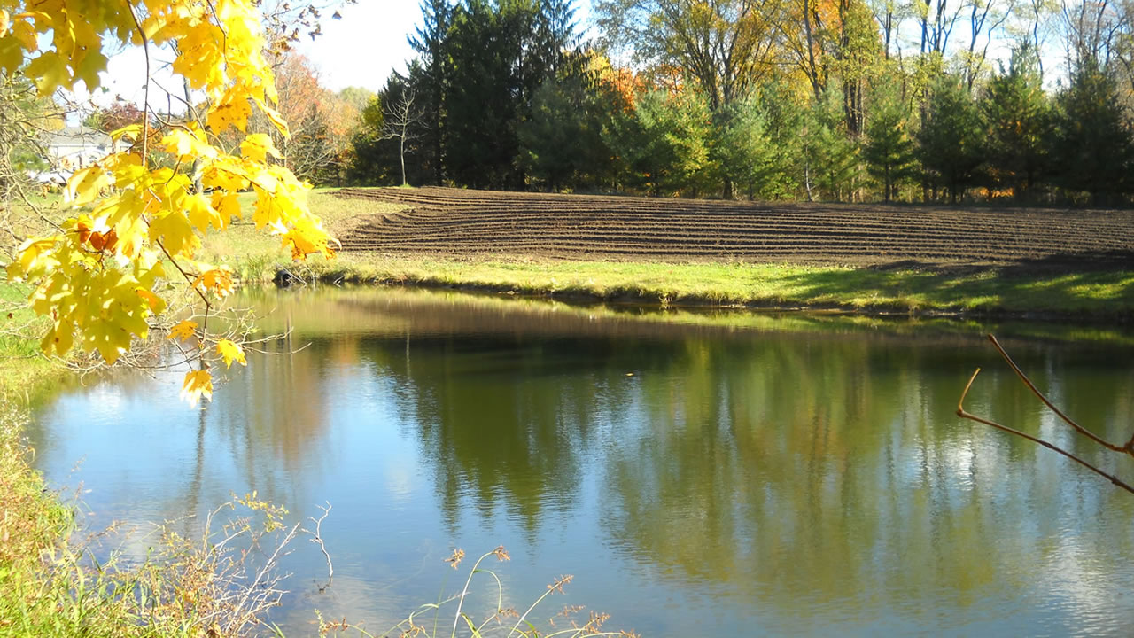 fall lake view