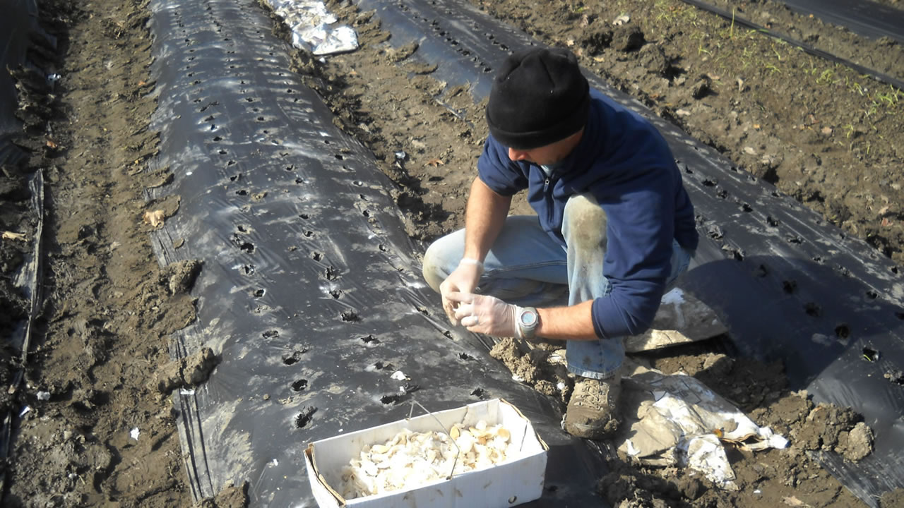 hard at work