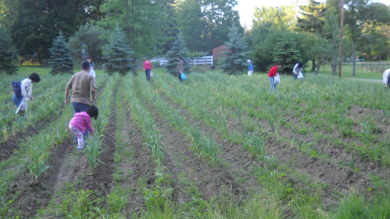 field workers